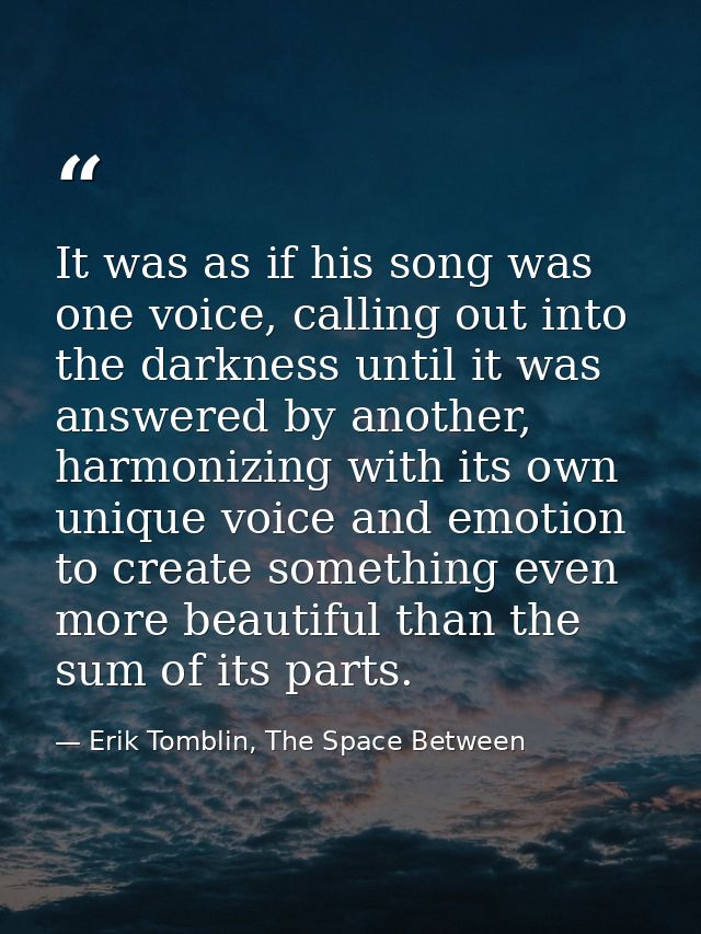 It was as if his song was one voice, calling out into the darkness until it was answered by another, harmonizing with it — Erik Tomblin, The Space Between