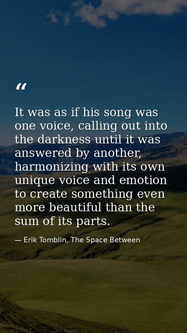 It was as if his song was one voice, calling out into the darkness until it was answered by another, harmonizing with it — Erik Tomblin, The Space Between