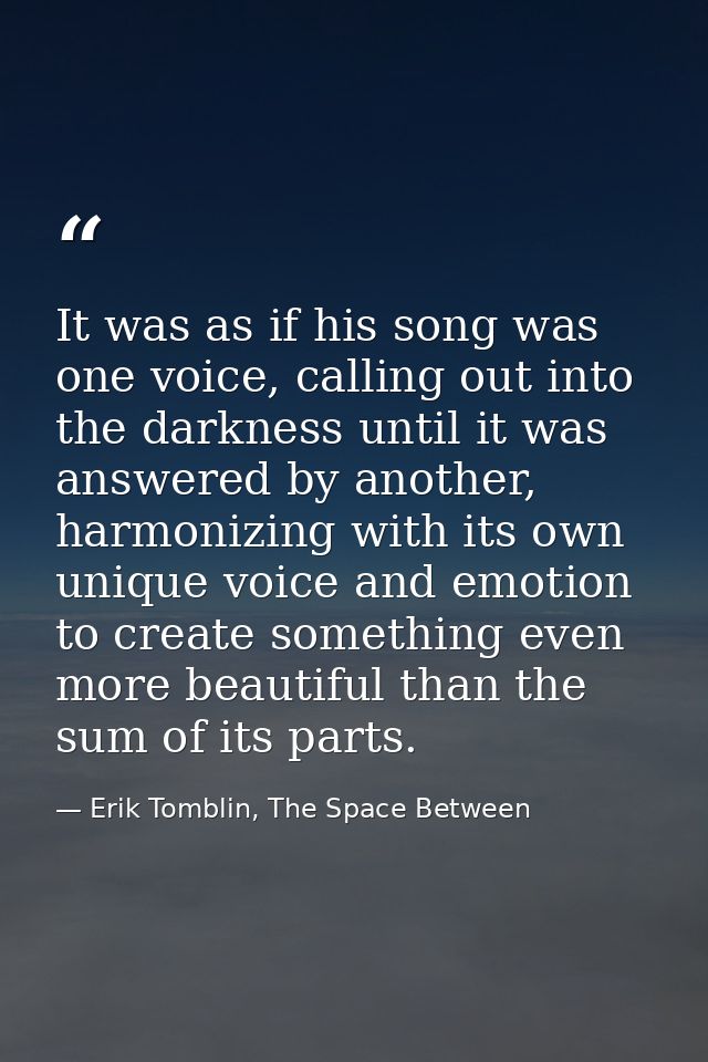 It was as if his song was one voice, calling out into the darkness until it was answered by another, harmonizing with it — Erik Tomblin, The Space Between