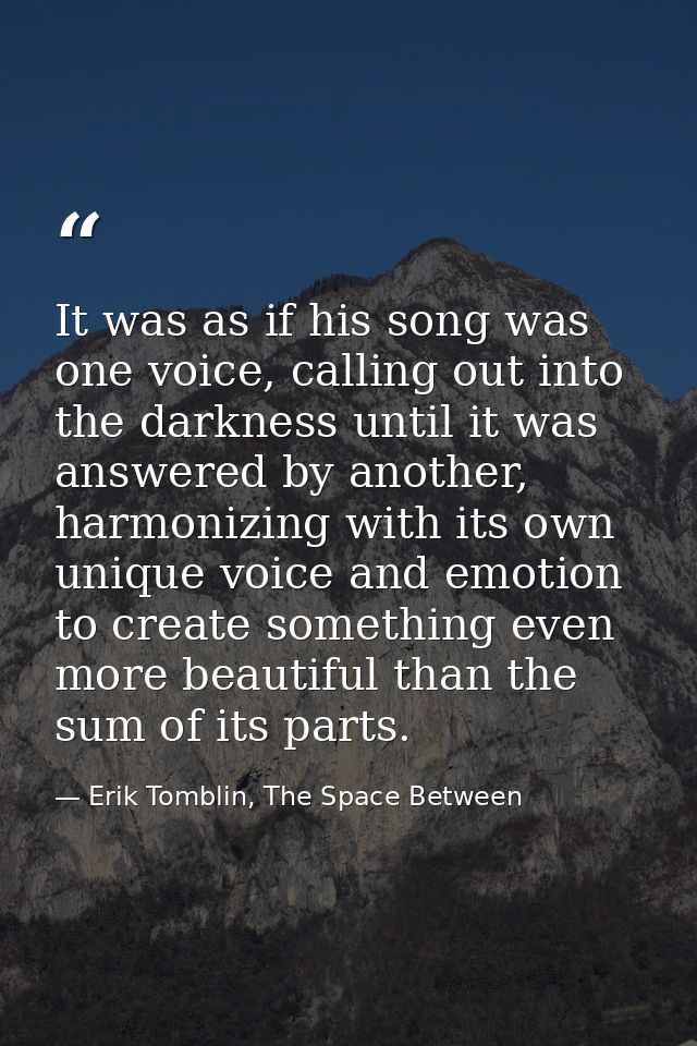 It was as if his song was one voice, calling out into the darkness until it was answered by another, harmonizing with it — Erik Tomblin, The Space Between
