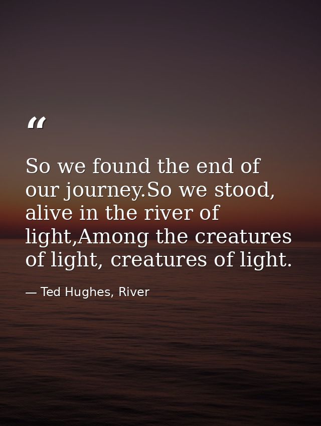 So we found the end of our journey.So we stood, alive in the river of light,Among the creatures of light, creatures of l — Ted Hughes, River