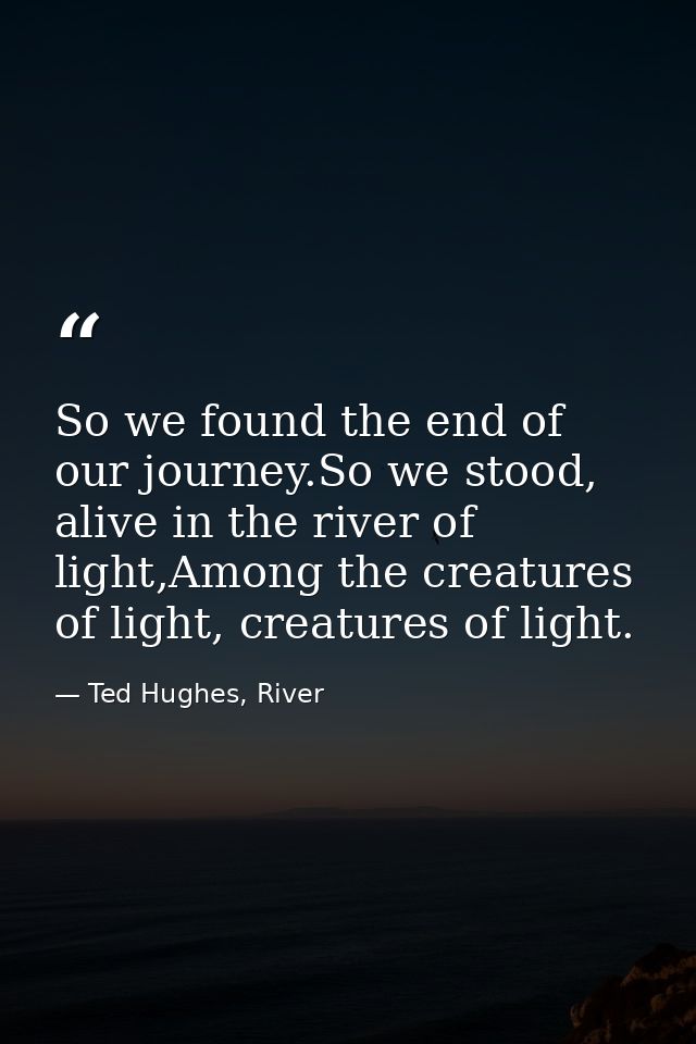 So we found the end of our journey.So we stood, alive in the river of light,Among the creatures of light, creatures of l — Ted Hughes, River