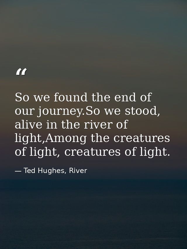 So we found the end of our journey.So we stood, alive in the river of light,Among the creatures of light, creatures of l — Ted Hughes, River