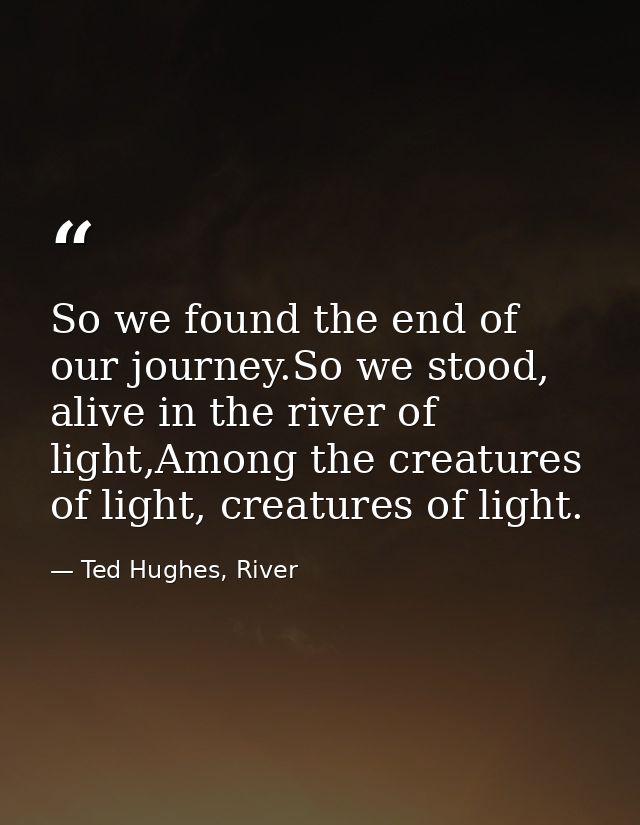 So we found the end of our journey.So we stood, alive in the river of light,Among the creatures of light, creatures of l — Ted Hughes, River