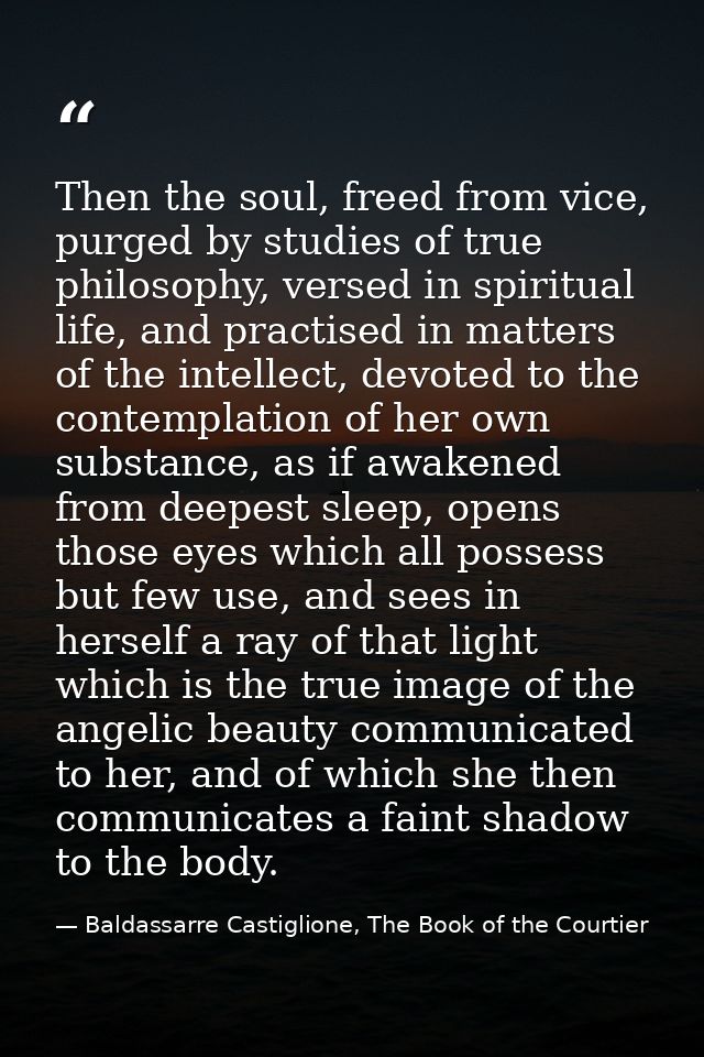 Then the soul, freed from vice, purged by studies of true philosophy, versed in spiritual life, and practised in matters — Baldassarre Castiglione, The Book of the Courtier