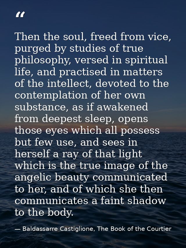 Then the soul, freed from vice, purged by studies of true philosophy, versed in spiritual life, and practised in matters — Baldassarre Castiglione, The Book of the Courtier