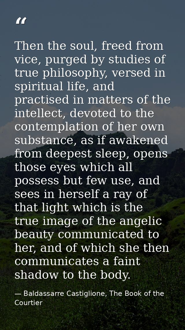 Then the soul, freed from vice, purged by studies of true philosophy, versed in spiritual life, and practised in matters — Baldassarre Castiglione, The Book of the Courtier