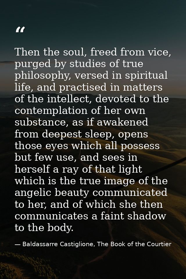 Then the soul, freed from vice, purged by studies of true philosophy, versed in spiritual life, and practised in matters — Baldassarre Castiglione, The Book of the Courtier