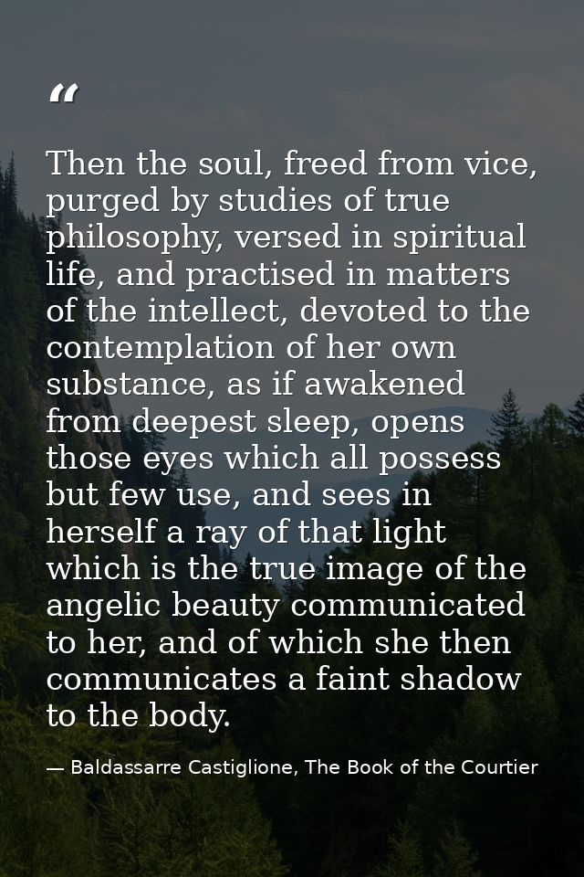 Then the soul, freed from vice, purged by studies of true philosophy, versed in spiritual life, and practised in matters — Baldassarre Castiglione, The Book of the Courtier