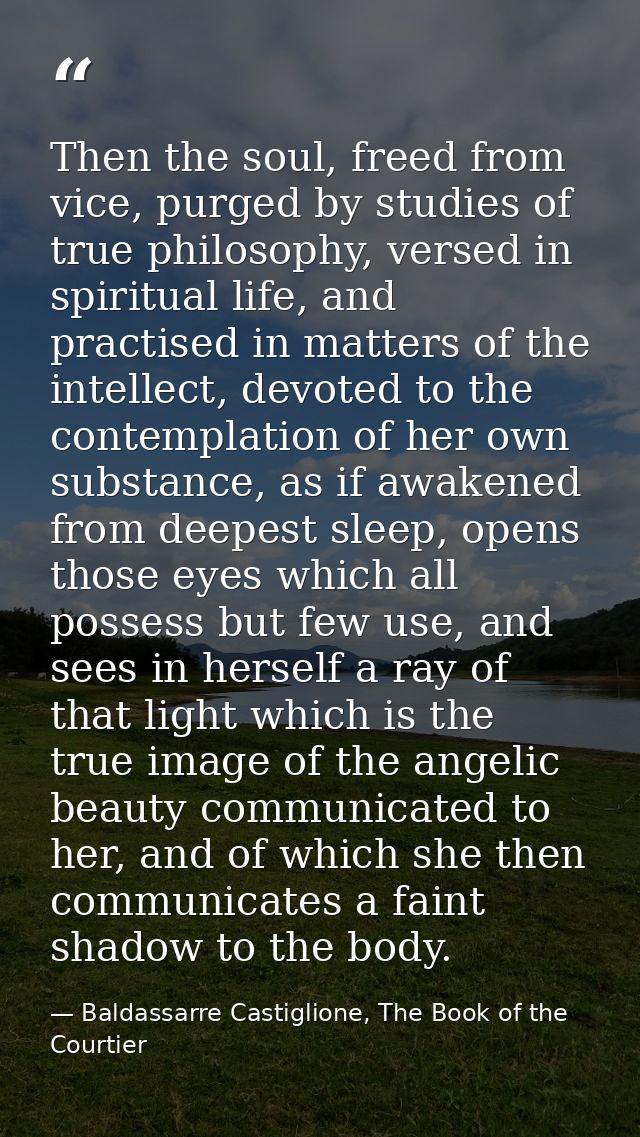 Then the soul, freed from vice, purged by studies of true philosophy, versed in spiritual life, and practised in matters — Baldassarre Castiglione, The Book of the Courtier