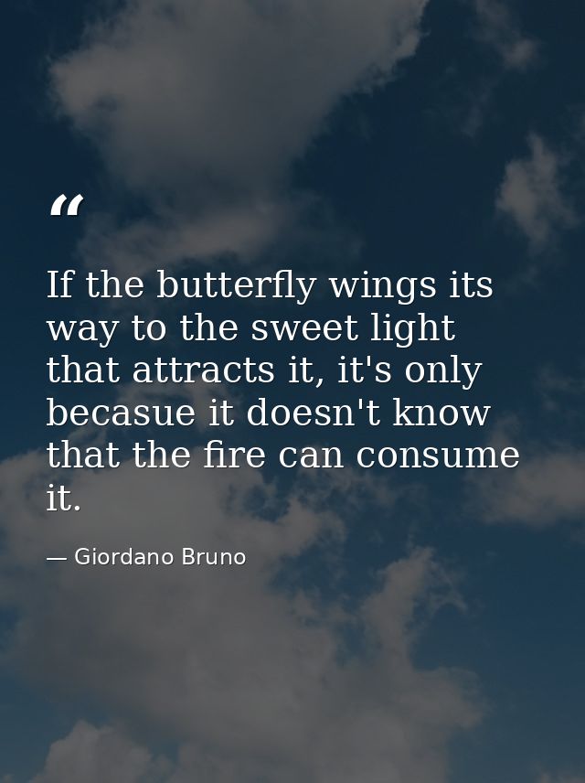 If the butterfly wings its way to the sweet light that attracts it, it's only becasue it doesn't know that the fire can  — Giordano Bruno