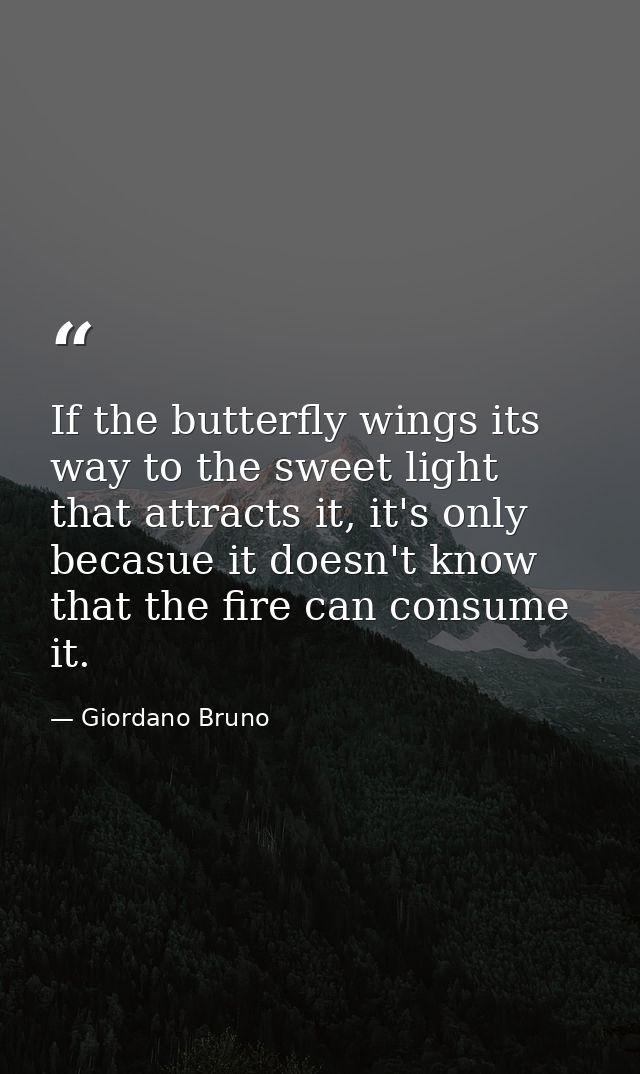 If the butterfly wings its way to the sweet light that attracts it, it's only becasue it doesn't know that the fire can  — Giordano Bruno