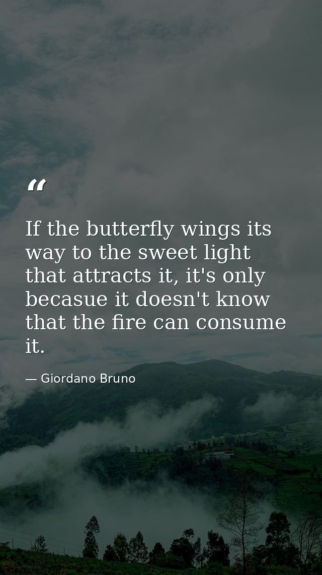 If the butterfly wings its way to the sweet light that attracts it, it's only becasue it doesn't know that the fire can  — Giordano Bruno