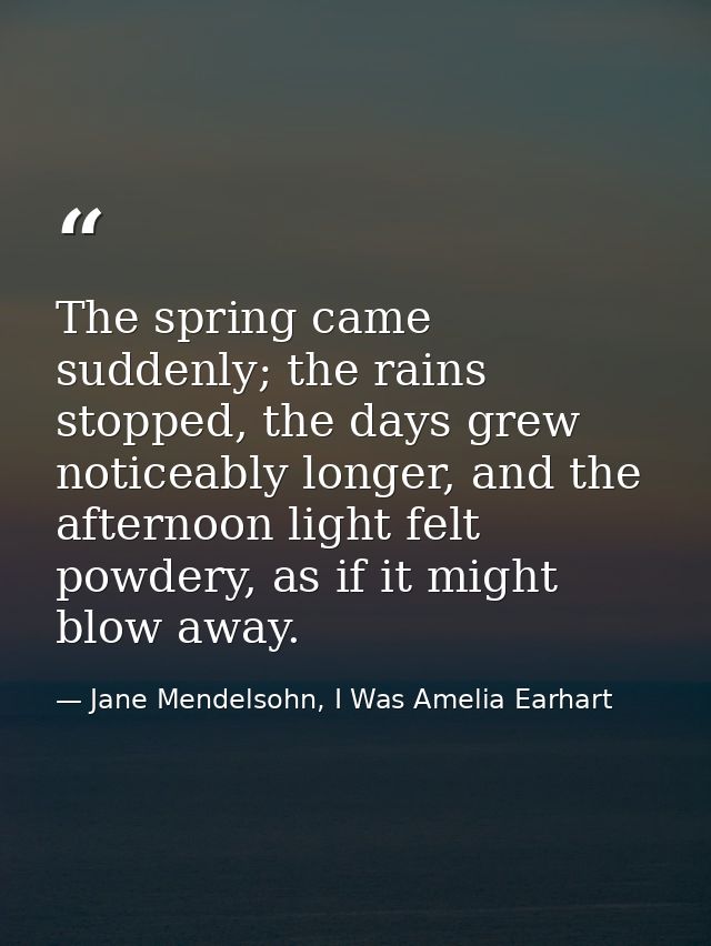 The spring came suddenly; the rains stopped, the days grew noticeably longer, and the afternoon light felt powdery, as i — Jane Mendelsohn, I Was Amelia Earhart
