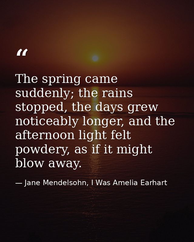 The spring came suddenly; the rains stopped, the days grew noticeably longer, and the afternoon light felt powdery, as i — Jane Mendelsohn, I Was Amelia Earhart