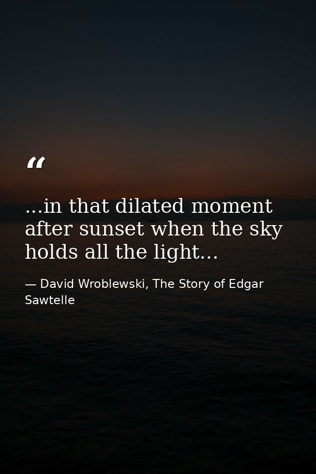 ...in that dilated moment after sunset when the sky holds all the light... — David Wroblewski, The Story of Edgar Sawtelle