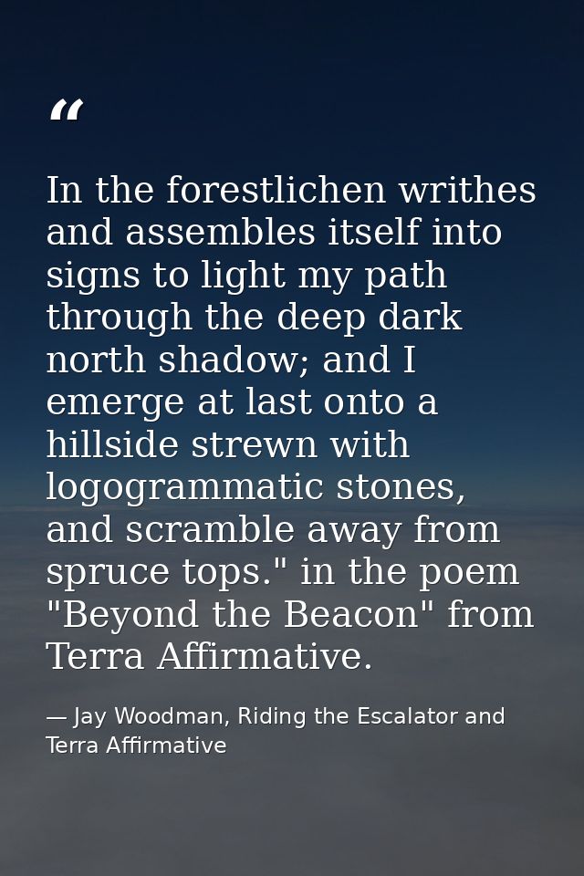 In the forestlichen writhes and assembles itself into signs to light my path through the deep dark north shadow; and I e — Jay Woodman, Riding the Escalator and Terra Affirmative