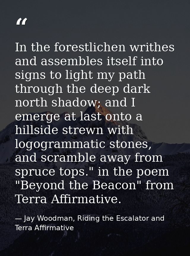 In the forestlichen writhes and assembles itself into signs to light my path through the deep dark north shadow; and I e — Jay Woodman, Riding the Escalator and Terra Affirmative