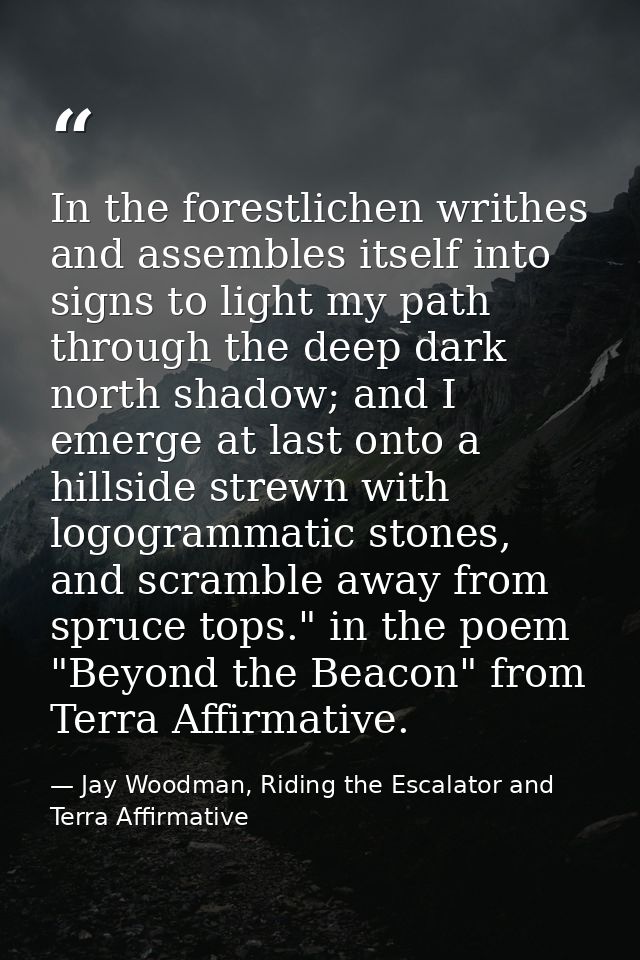 In the forestlichen writhes and assembles itself into signs to light my path through the deep dark north shadow; and I e — Jay Woodman, Riding the Escalator and Terra Affirmative