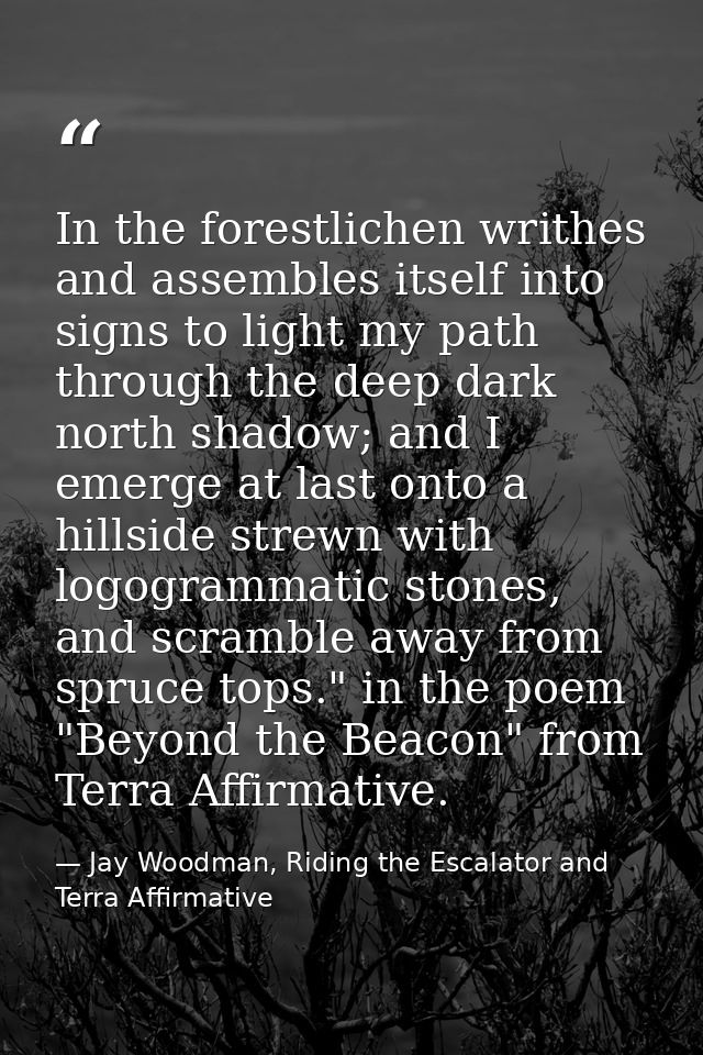 In the forestlichen writhes and assembles itself into signs to light my path through the deep dark north shadow; and I e — Jay Woodman, Riding the Escalator and Terra Affirmative