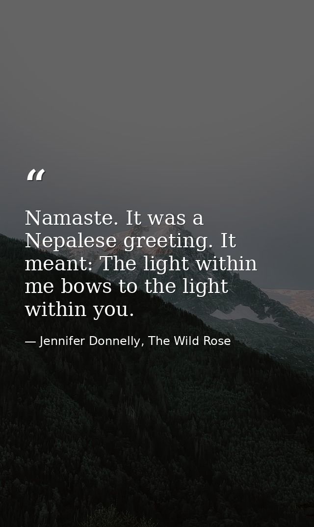 Namaste. It was a Nepalese greeting. It meant: The light within me bows to the light within you. — Jennifer Donnelly, The Wild Rose