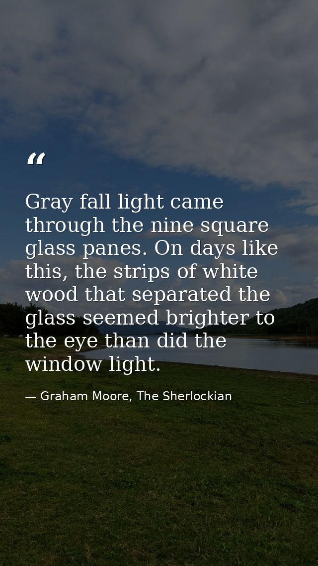 Gray fall light came through the nine square glass panes. On days like this, the strips of white wood that separated the — Graham Moore, The Sherlockian