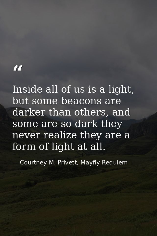 Inside all of us is a light, but some beacons are darker than others, and some are so dark they never realize they are a — Courtney M. Privett, Mayfly Requiem