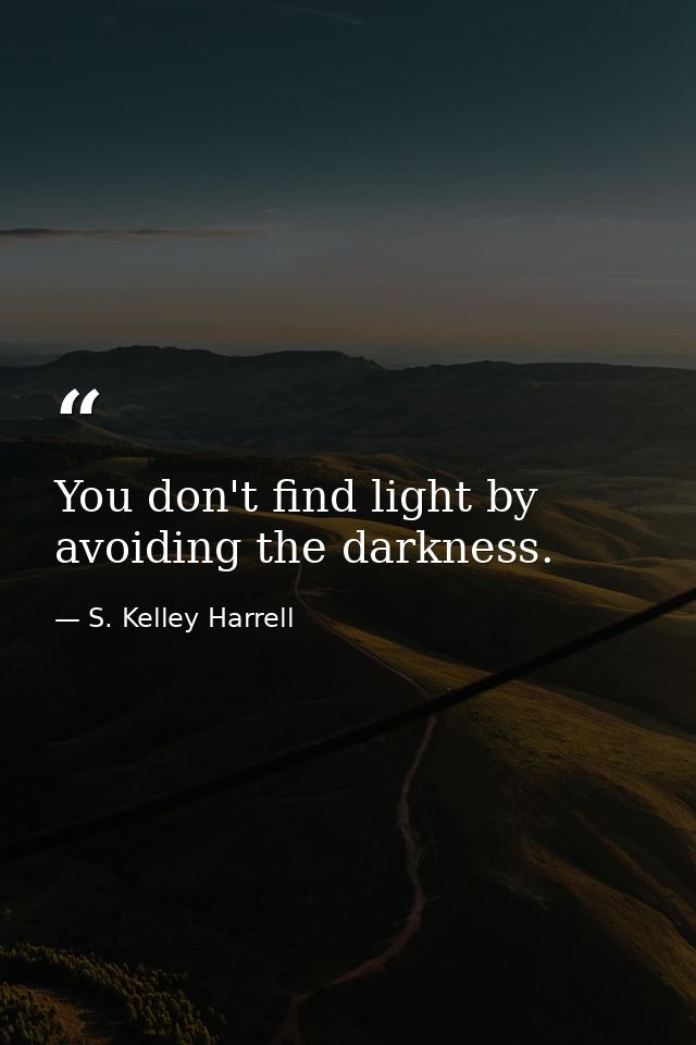 You don't find light by avoiding the darkness. — S. Kelley Harrell