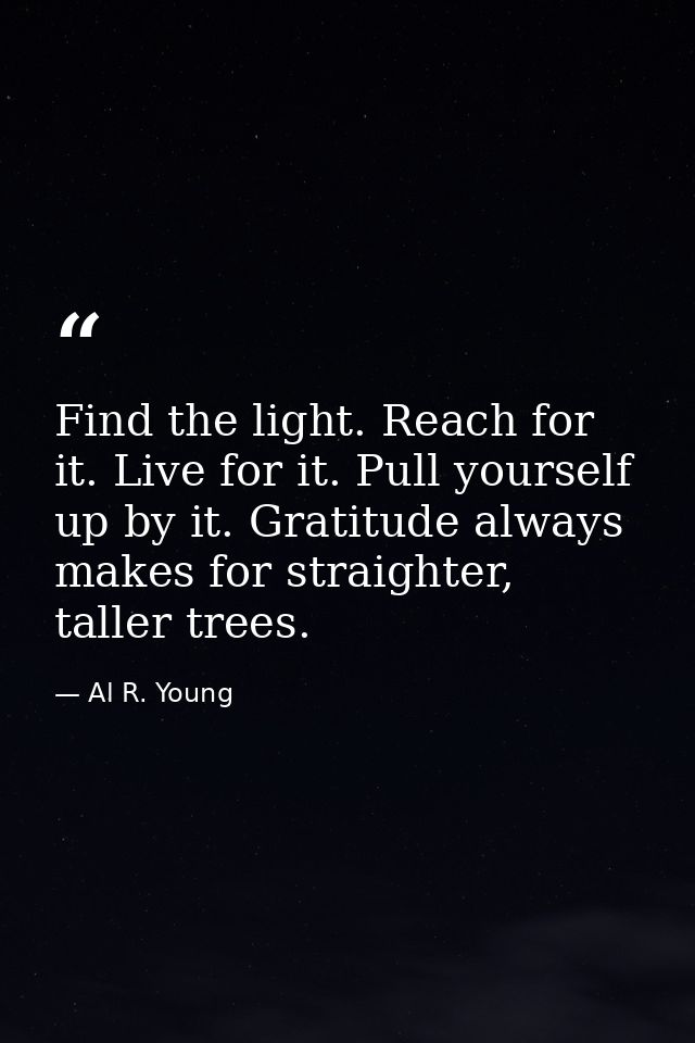 Find the light. Reach for it. Live for it. Pull yourself up by it. Gratitude always makes for straighter, taller trees. — Al R. Young