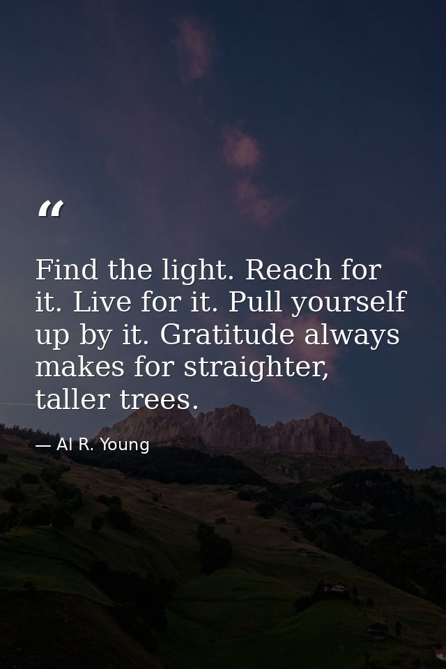 Find the light. Reach for it. Live for it. Pull yourself up by it. Gratitude always makes for straighter, taller trees. — Al R. Young