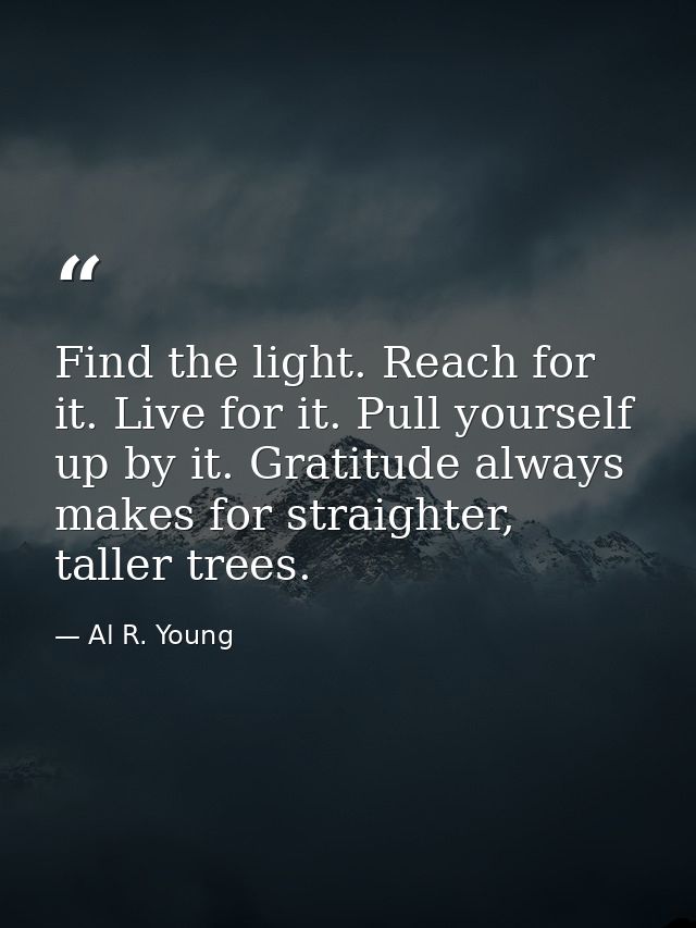 Find the light. Reach for it. Live for it. Pull yourself up by it. Gratitude always makes for straighter, taller trees. — Al R. Young