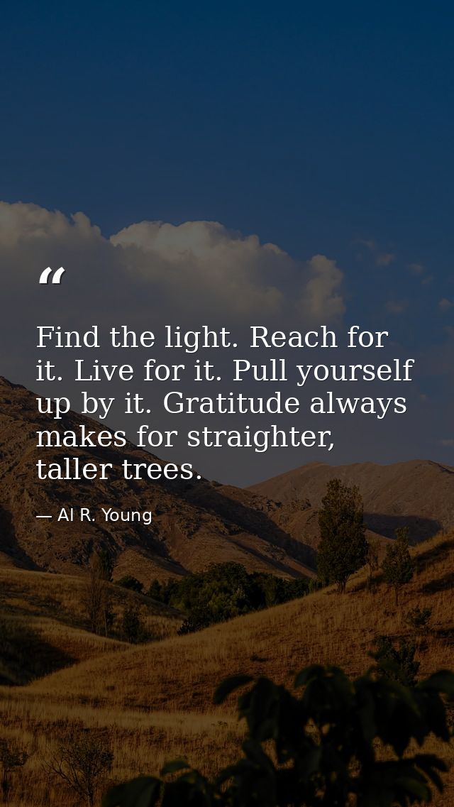 Find the light. Reach for it. Live for it. Pull yourself up by it. Gratitude always makes for straighter, taller trees. — Al R. Young