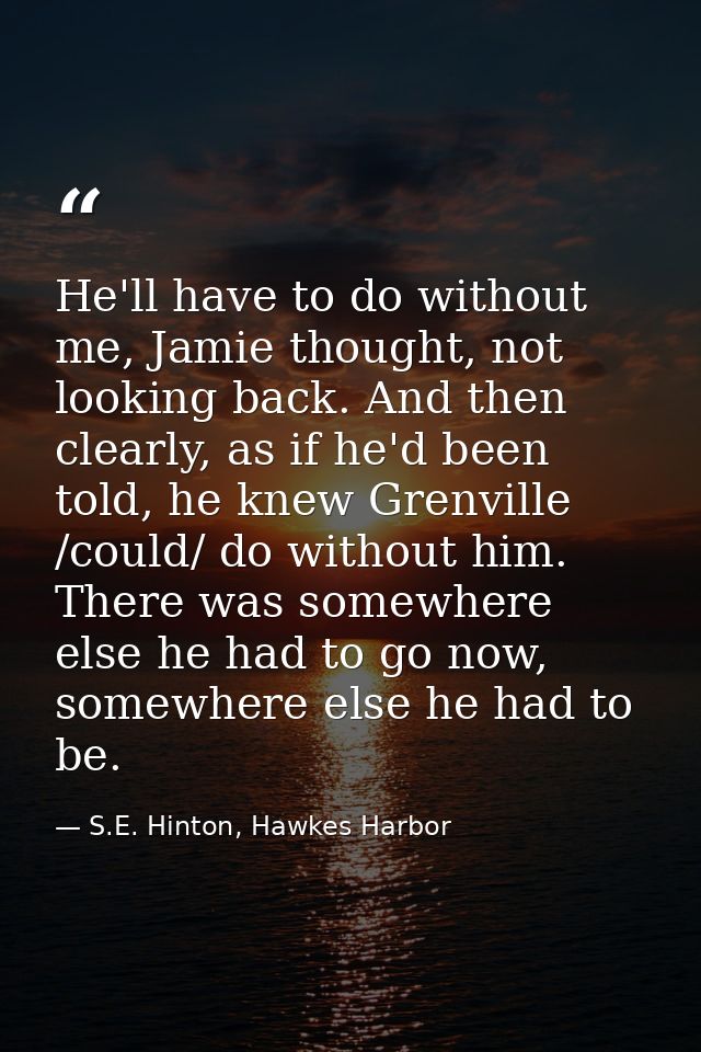 He'll have to do without me, Jamie thought, not looking back. And then clearly, as if he'd been told, he knew Grenville  — S.E. Hinton, Hawkes Harbor