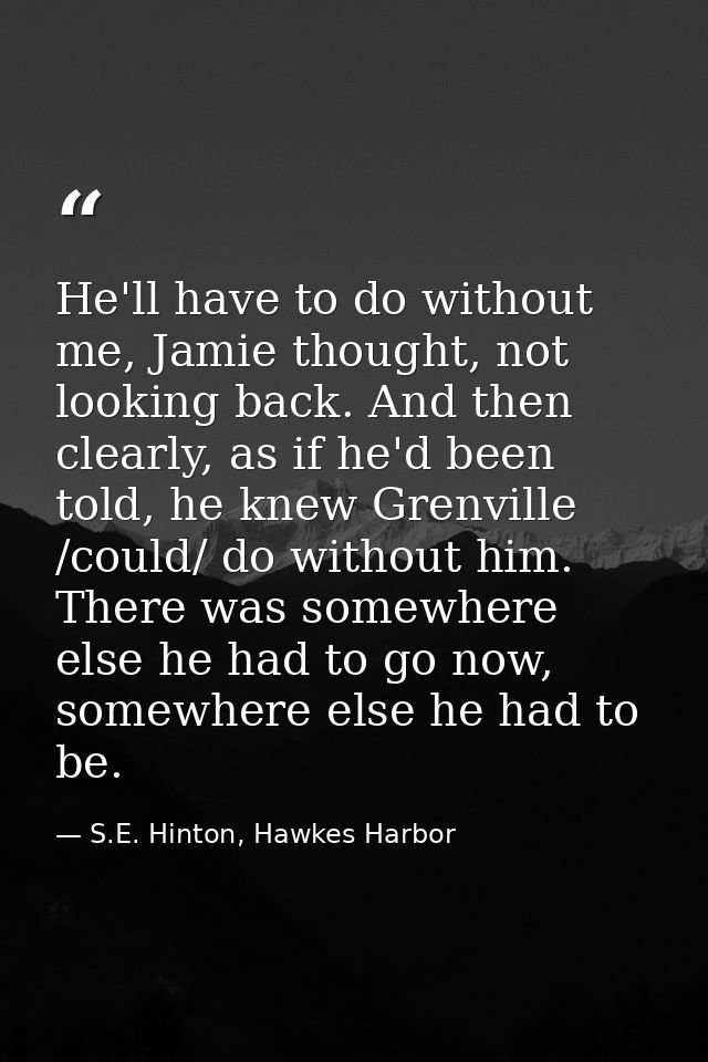 He'll have to do without me, Jamie thought, not looking back. And then clearly, as if he'd been told, he knew Grenville  — S.E. Hinton, Hawkes Harbor