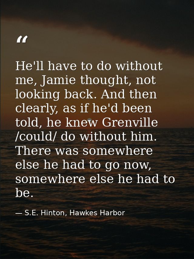 He'll have to do without me, Jamie thought, not looking back. And then clearly, as if he'd been told, he knew Grenville  — S.E. Hinton, Hawkes Harbor