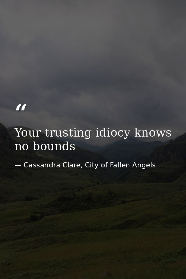 Your trusting idiocy knows no bounds — Cassandra Clare, City of Fallen Angels