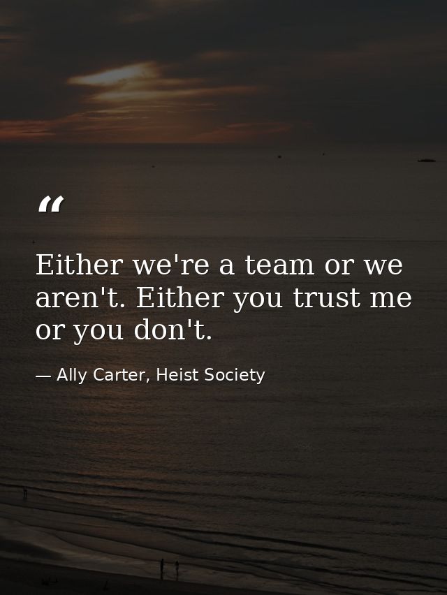 Either we're a team or we aren't. Either you trust me or you don't. — Ally Carter, Heist Society
