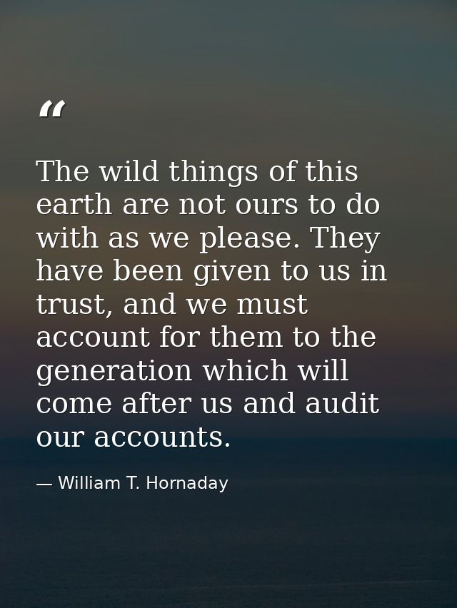 The wild things of this earth are not ours to do with as we please. They have been given to us in trust, and we must acc — William T. Hornaday