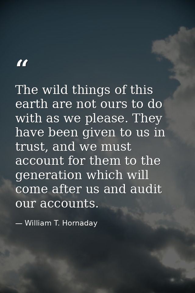 The wild things of this earth are not ours to do with as we please. They have been given to us in trust, and we must acc — William T. Hornaday