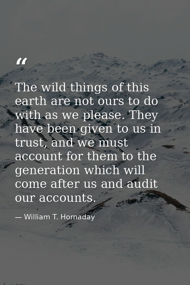 The wild things of this earth are not ours to do with as we please. They have been given to us in trust, and we must acc — William T. Hornaday