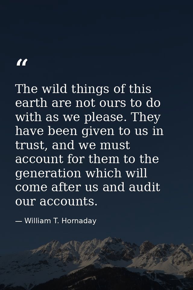 The wild things of this earth are not ours to do with as we please. They have been given to us in trust, and we must acc — William T. Hornaday