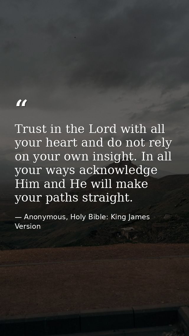 Trust in the Lord with all your heart and do not rely on your own insight. In all your ways acknowledge Him and He will  — Anonymous, Holy Bible: King James Version