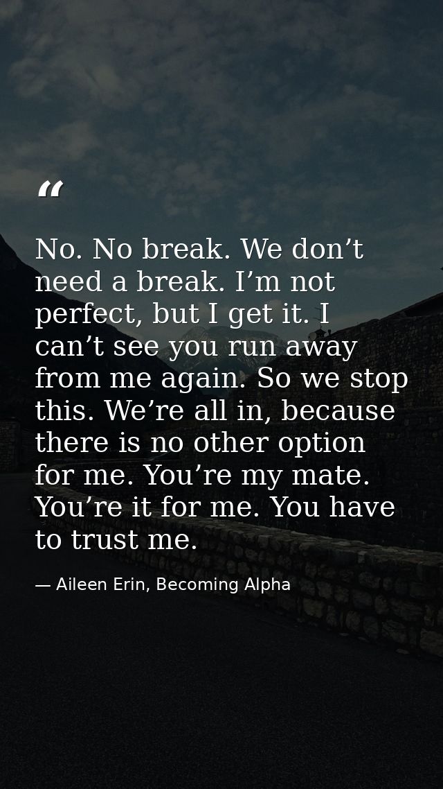 No. No break. We don’t need a break. I’m not perfect, but I get it. I can’t see you run away from me again. So we stop t — Aileen Erin, Becoming Alpha
