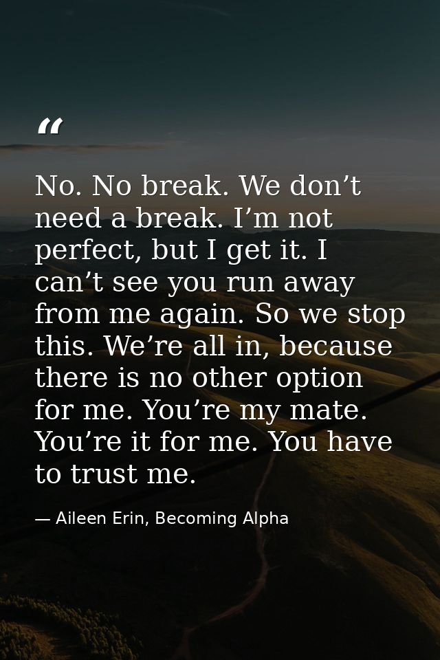 No. No break. We don’t need a break. I’m not perfect, but I get it. I can’t see you run away from me again. So we stop t — Aileen Erin, Becoming Alpha