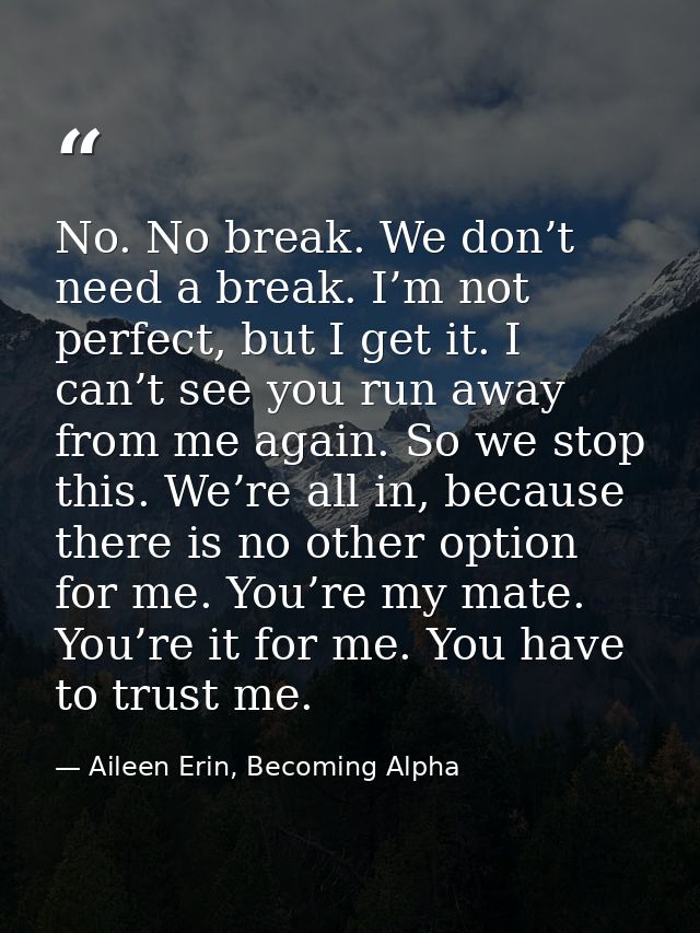 No. No break. We don’t need a break. I’m not perfect, but I get it. I can’t see you run away from me again. So we stop t — Aileen Erin, Becoming Alpha