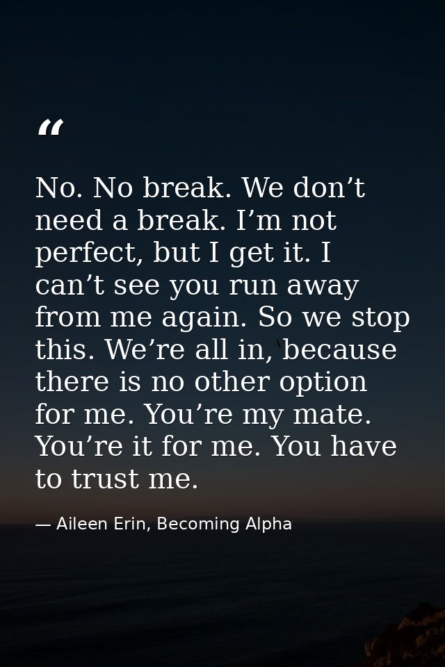 No. No break. We don’t need a break. I’m not perfect, but I get it. I can’t see you run away from me again. So we stop t — Aileen Erin, Becoming Alpha