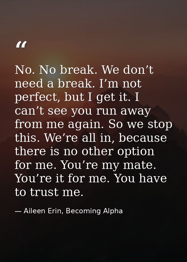 No. No break. We don’t need a break. I’m not perfect, but I get it. I can’t see you run away from me again. So we stop t — Aileen Erin, Becoming Alpha