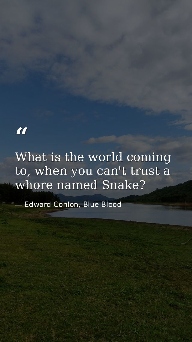 What is the world coming to, when you can't trust a whore named Snake? — Edward Conlon, Blue Blood