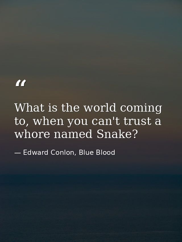 What is the world coming to, when you can't trust a whore named Snake? — Edward Conlon, Blue Blood