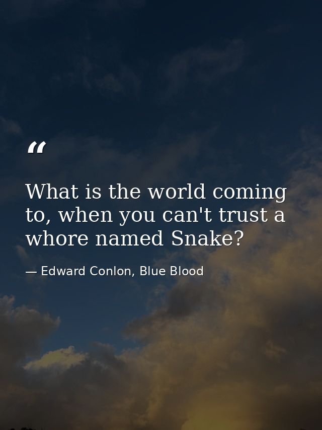 What is the world coming to, when you can't trust a whore named Snake? — Edward Conlon, Blue Blood